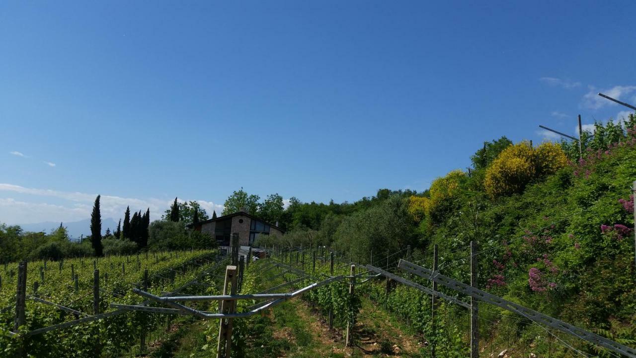 "Cortela" Appartameni In Villetta Singola SantʼAmbrogio di Valpolicella Esterno foto