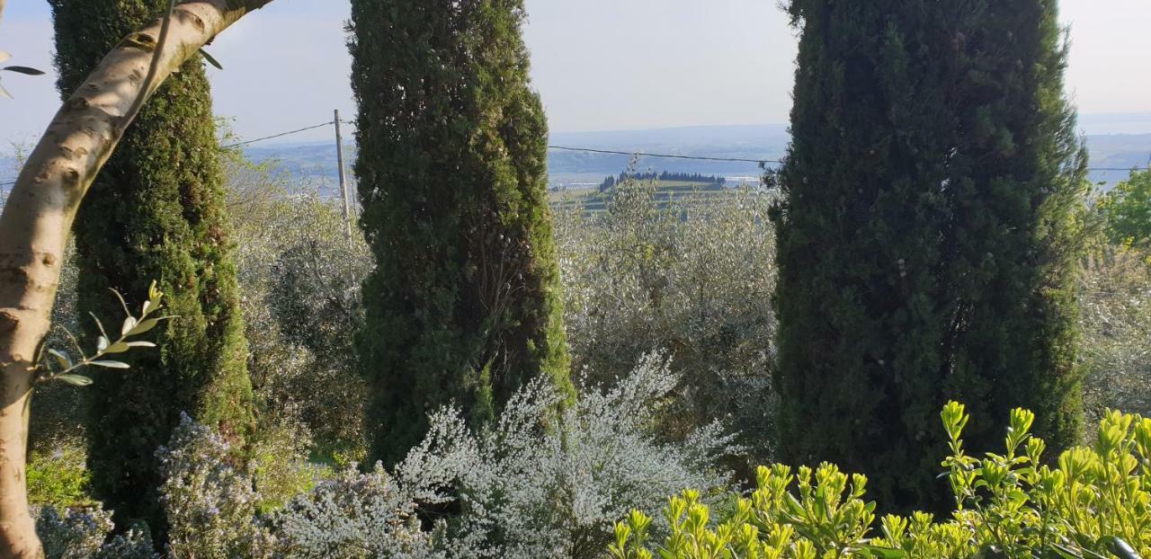 "Cortela" Appartameni In Villetta Singola SantʼAmbrogio di Valpolicella Esterno foto