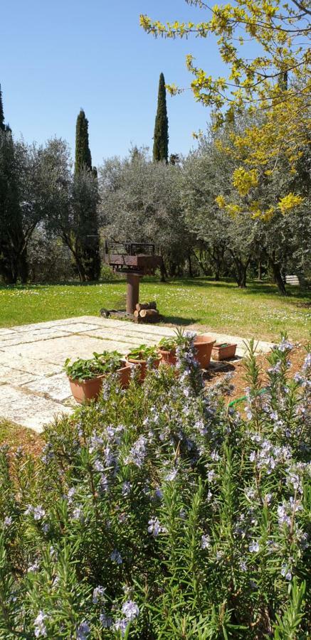 "Cortela" Appartameni In Villetta Singola SantʼAmbrogio di Valpolicella Esterno foto